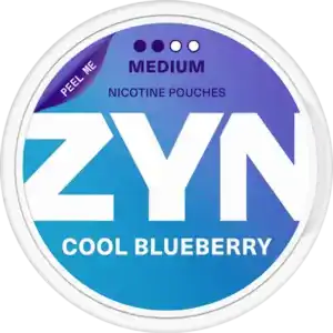 ZYN Cool Blueberry 6 mg