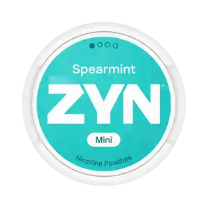 zyn spearmint mini dry
