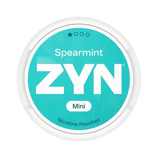 zyn spearmint mini dry