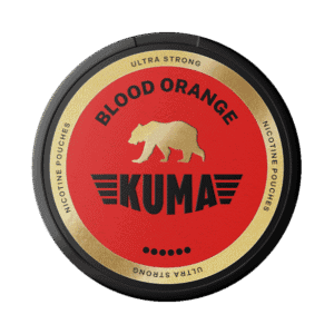 Kuma orange sanguine