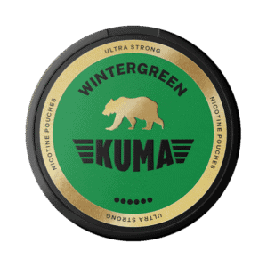 Kuma wintergreen