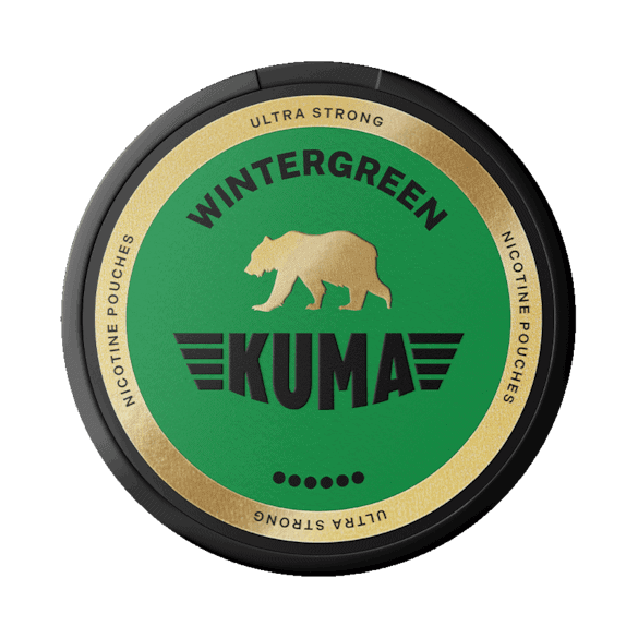 Kuma wintergreen