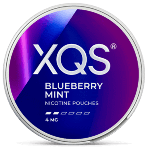 XQS Blueberry Mint
