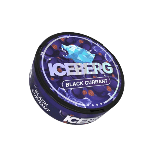 ICEBERG Ribes nero estremo