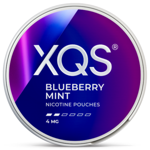 XQS Blueberry Mint Light