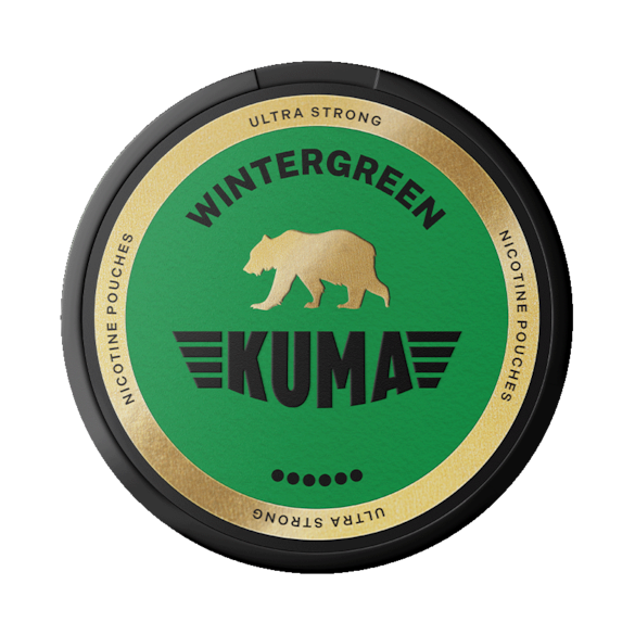 Kuma wintergreen
