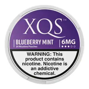 XQS Blueberry Mint 6mg