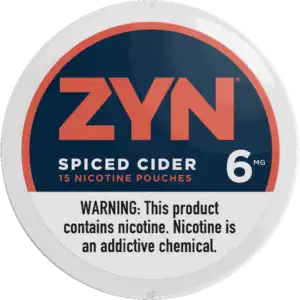 ZYN Spiced Cider 6mg