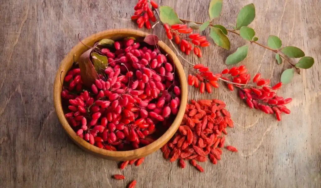 Baie de goji bienfaits peau