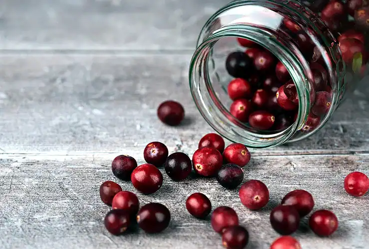 Cranberry et peau