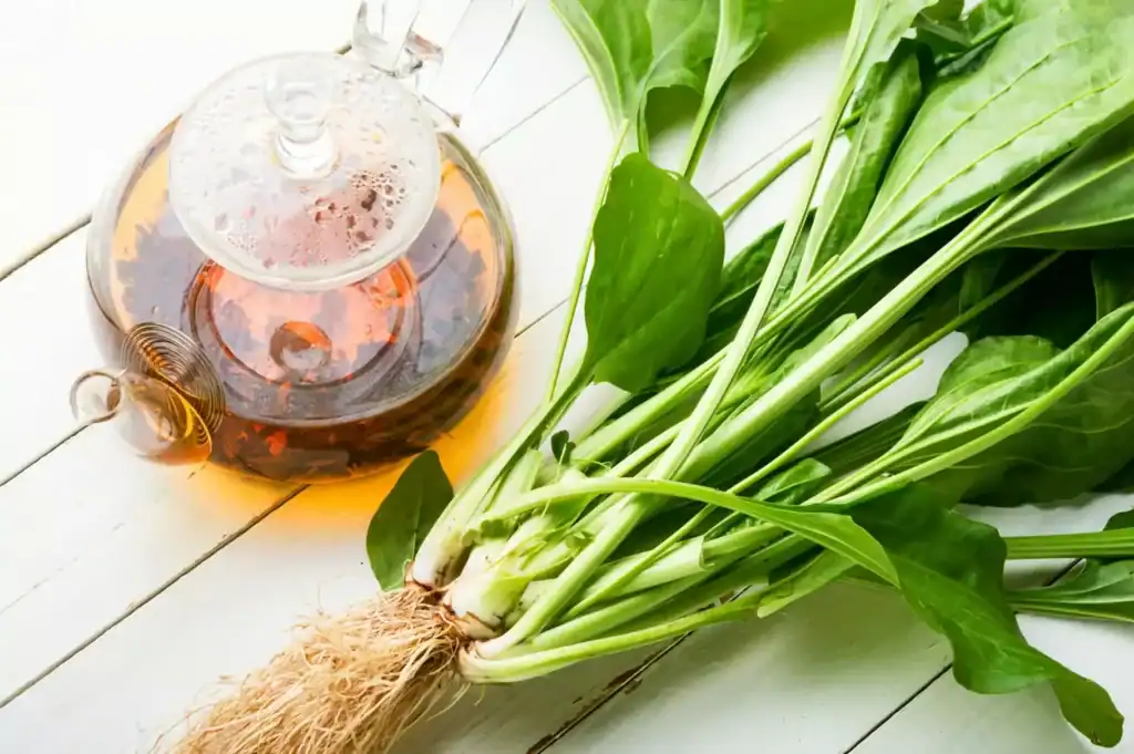 Plantain et peau