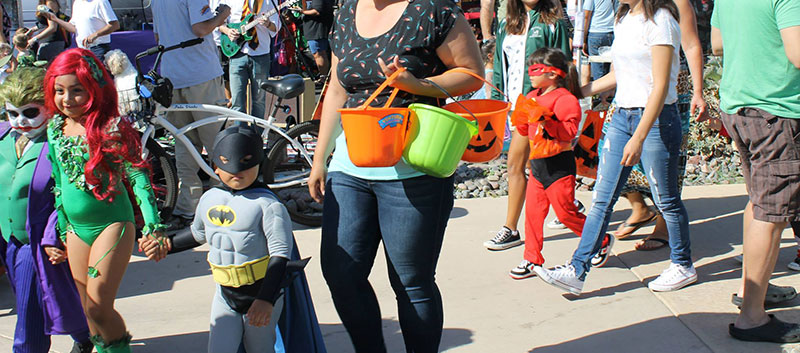 Farmers’ Market Pumpkin Fun Day