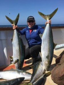 30lb-Yellowtail-Mirage