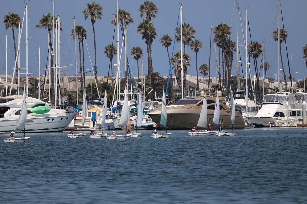 A flotilla of sailboats crosses the harbor against a backdrop of moored boats and palm trees