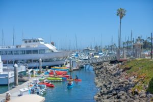 ChannelIslandsHarbor_2018DW_5773 - Reduced