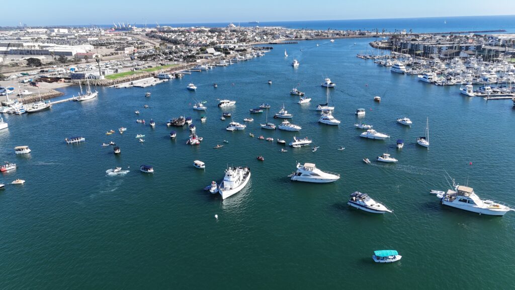 Boats docked at Channel Islands Harbor marina with cityscape in background.