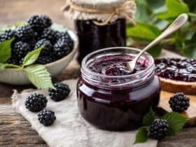 confiture de mûres sans pépins