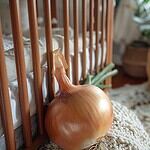 rhume bebe remede grand mere