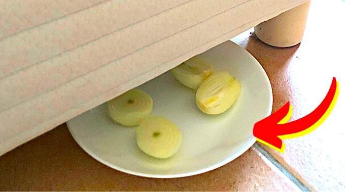 mettre un oignon sous le lit le remede de grand mere 1 Rhume de bébé : Quels sont les meilleurs remèdes de grand mère?