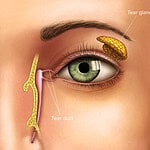 canal lacrymal bouché remède grand mère