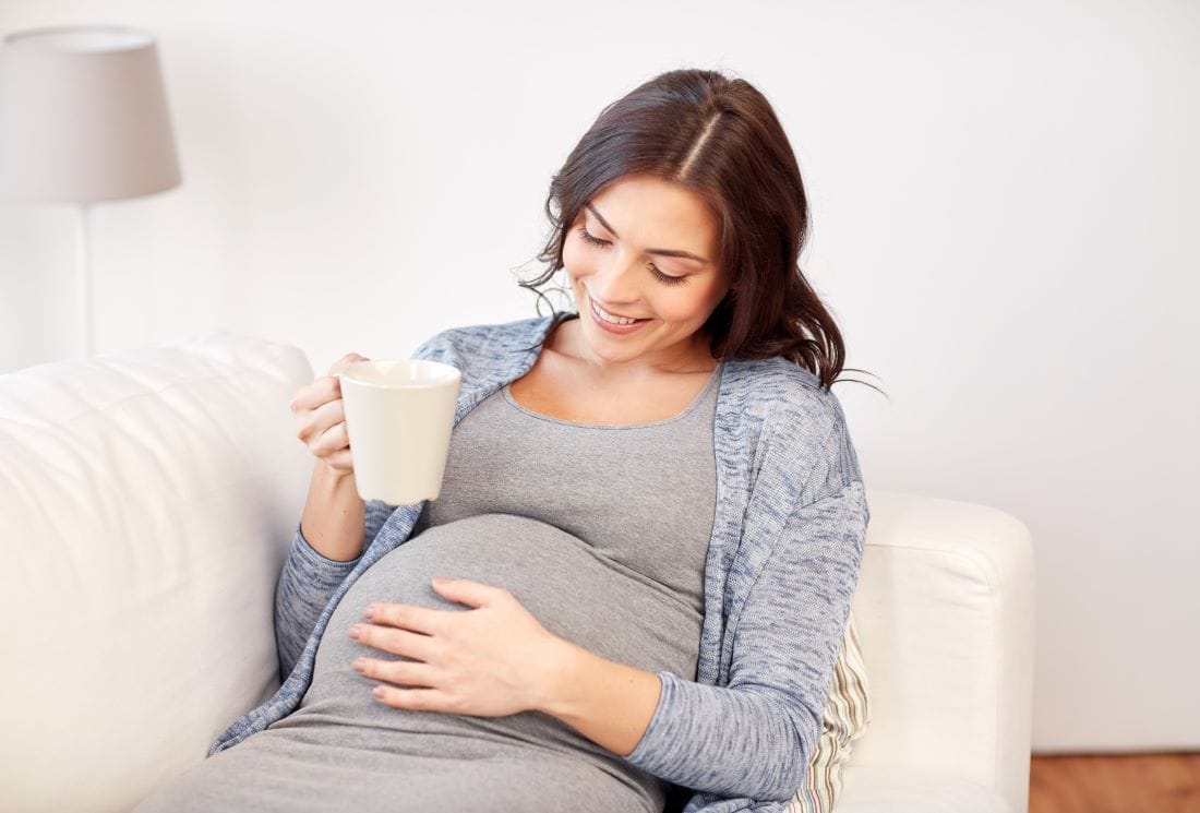 rooibos enceinte