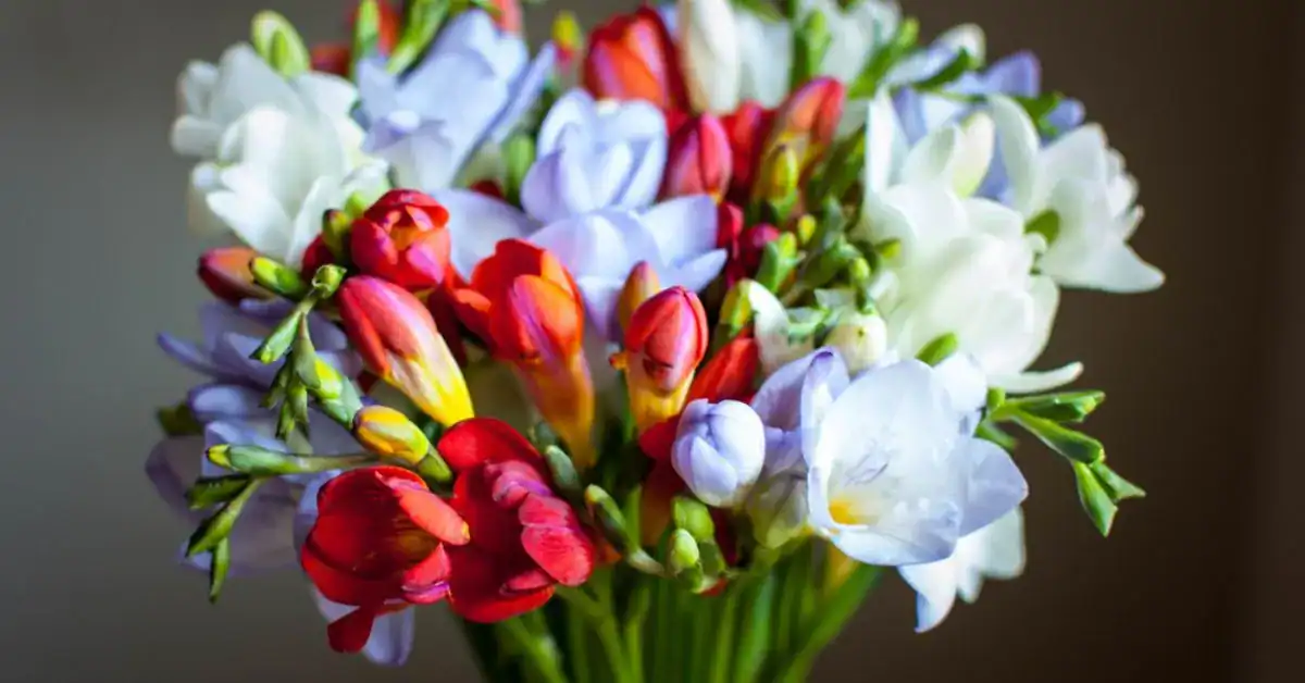bouquet fleurs saisons Quelles fleurs de saison planter en mai