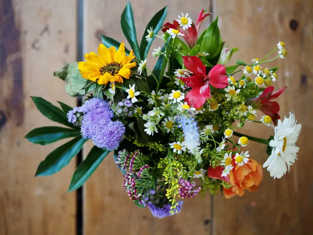 Quelles fleurs de saison planter en mai 2 fleurs saison Quelles fleurs de saison planter en mai