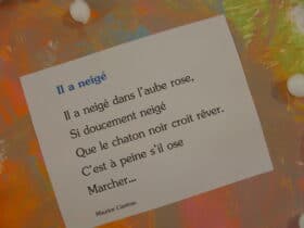 Poésie Il a neigé
