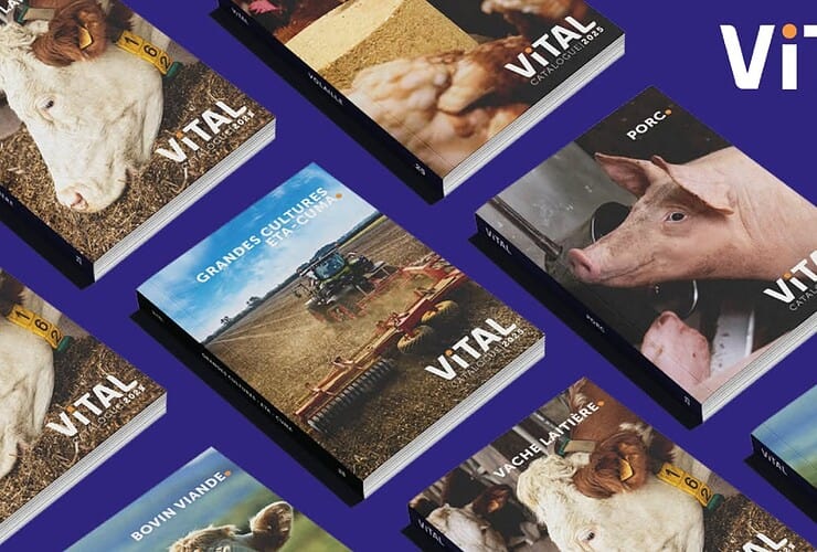 catalogue Vital Concept