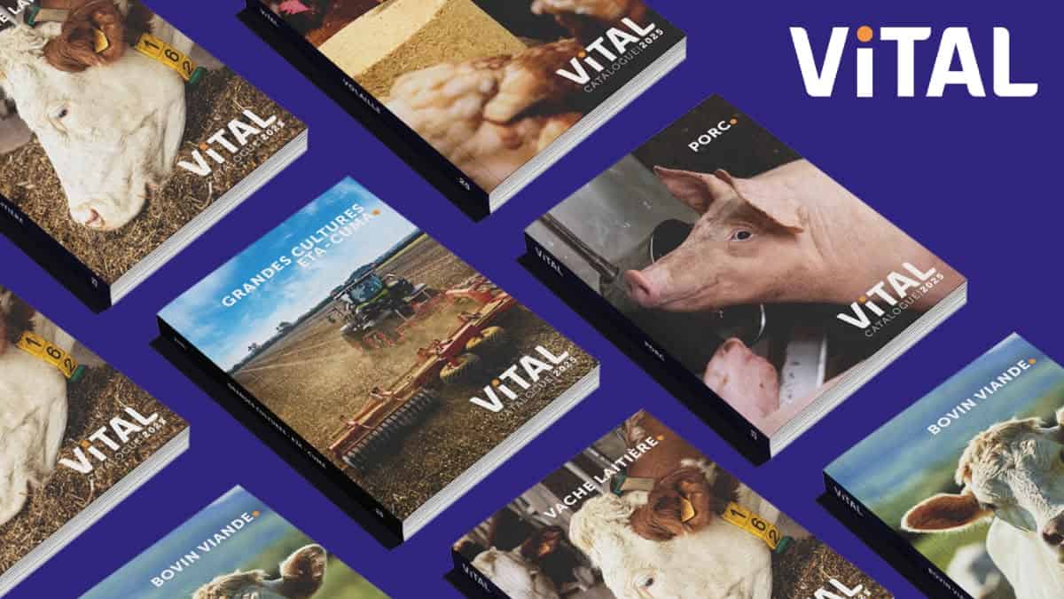 catalogue Vital Concept