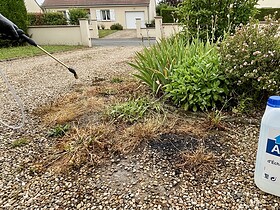 AdBlue comme désherbant