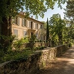 cortesine