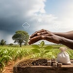 Assurance et risque climatique: ce que révèle la première indemnisation agricole à large échelle au Bénin