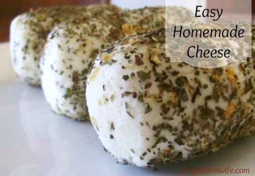 easy homemade goat cheese