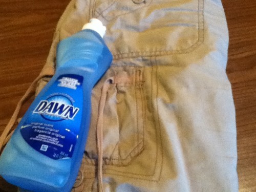 Photo shows a bottle of Dawn liquid soap on a pair of shorts