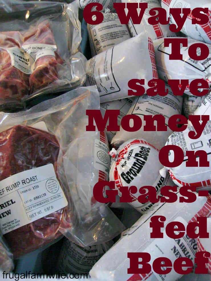 Image shows a freezer full of various cuts of meat with text overlay that reads "6 Ways To Save On Grass-Fed Beef"