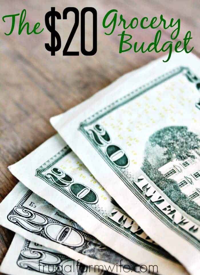 Image shows a small stack of several $20 bills on a table, text above reads "The $20 grocery budget"