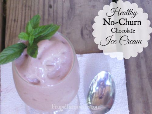 healthy chocolate ice cream