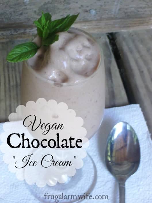 vegan chocolate ice cream