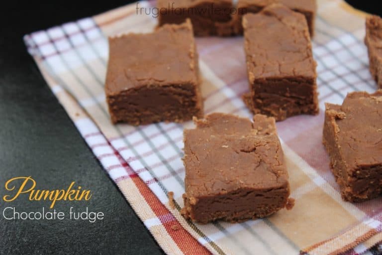 Pumpkin Spice Chocolate Fudge