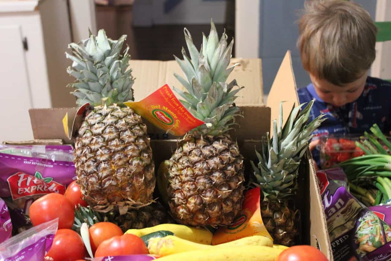Image shows a large cardboard box of a variety of fruits and vegetables, including tomatoes and pineapples. A young boy stands next to the box. 