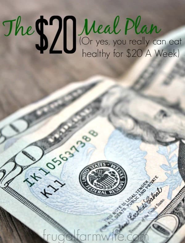$20 Meal Plan