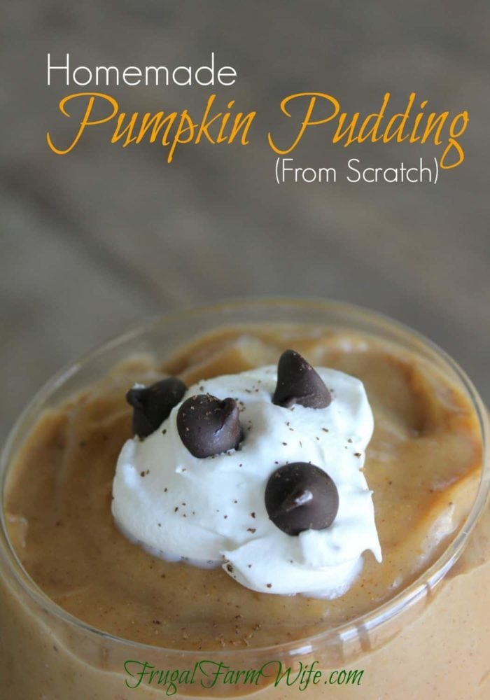 Image shows a bowl of pumpkin pudding topped with a dollop of whipped cream and chocolate chips with the test "Homemade Pumpkin Pudding (From Scratch)"