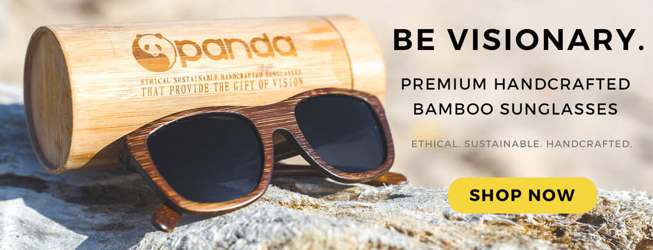 Image shows a pair of bamboo sunglasses on a rock with a protective tube behind it. Text reads "Be Visionary. Premium Handcrafted Bamboo Sunglasses"