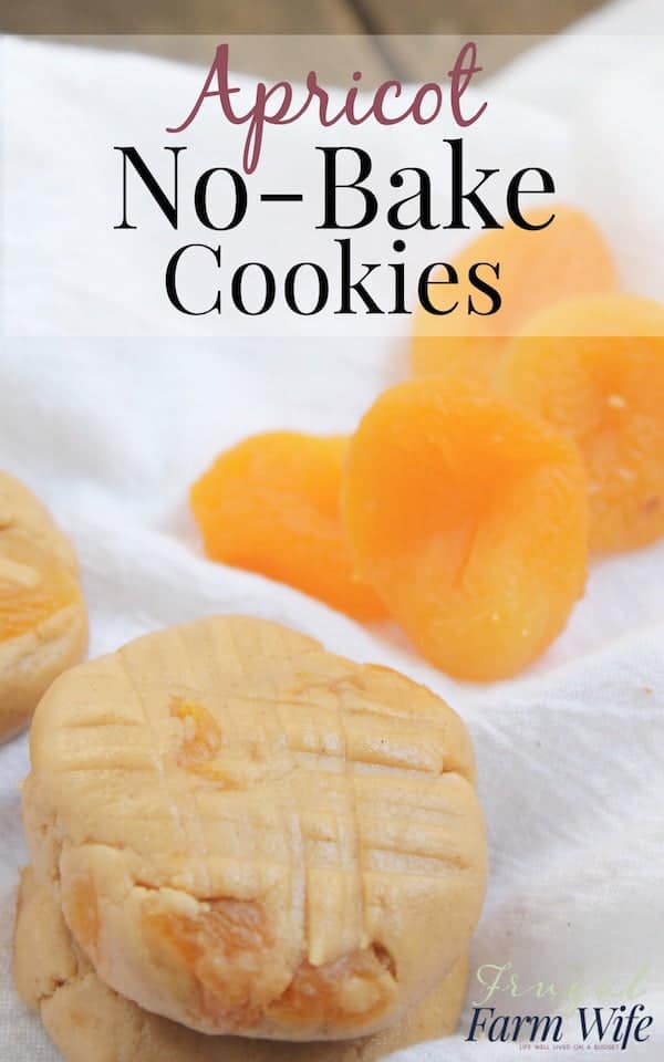 Image shows a couple of cookies, next to piece of apricot, with text that reads "Apricot No-Bake Cookies"