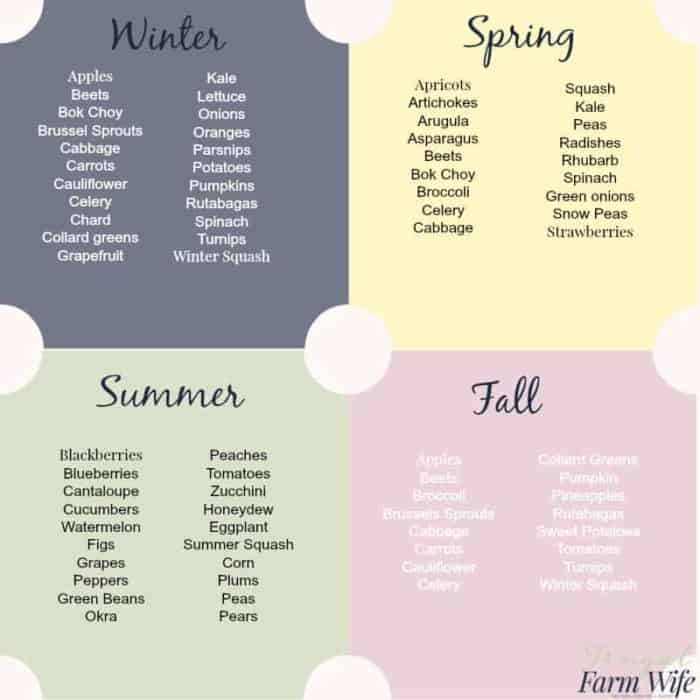 Image shows a chart demonstrating the in season fruits and vegetables for each season of the year.