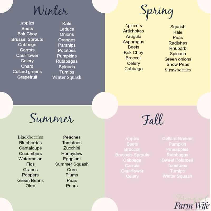 Image shows a graphic mapping out which produce is available during each season to shop smarter.
