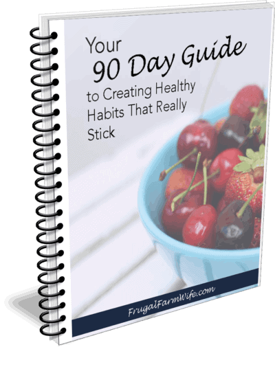 Image shows a close up of the book cover for "Your 90 Day Guide to Creating Health Habits that Really Stick"