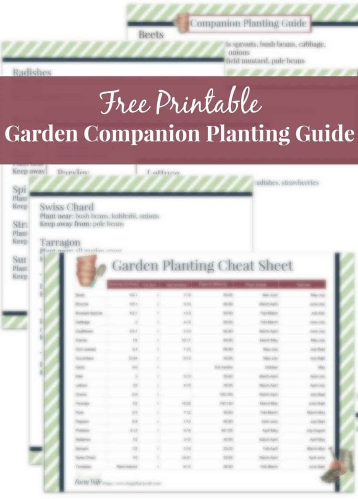 Spring Garden Companion Planting Guide | Frugal Farm Wife for Free Printable Companion Planting Guide For The Garden
