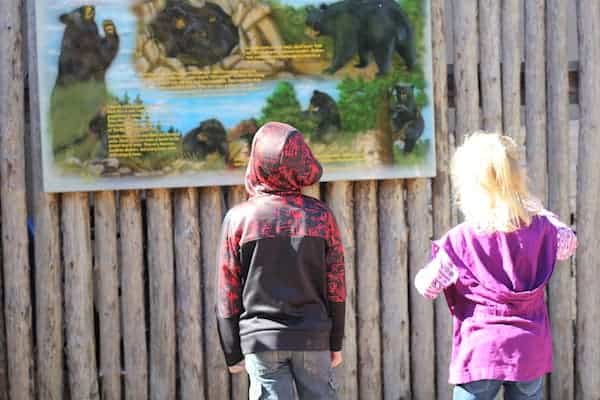 how to teach your kids gratitude